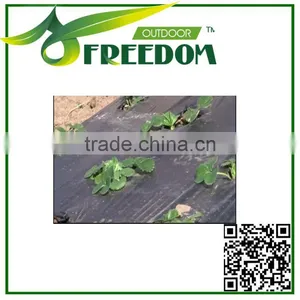 Cheap Price Agriculture Black Plastic Ground Cover thumbnail-2