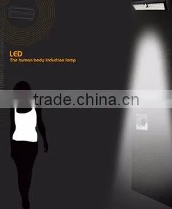 China Suppliers 44LED Solar Powered Lighting Led Work Light Cool White With Quality Assurance thumbnail-5