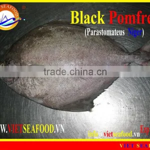 W/R FROZEN BLACK POMFRET thumbnail-1