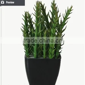 Artificial Wholesale Potted Succulent Plants Smalll Plants Mini Succulent thumbnail-4