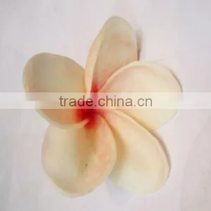 Pulmeria Rubra for Hat and Dress thumbnail-1
