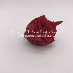 Factory Supply Wholesale A GRADE Best Quality China Preserved Roses thumbnail-3