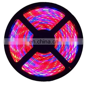 DC12V 5050 Full Spectrum Led Grow Strip Light Red:blue 3:1,4:1,5:1 Led Plant Growth thumbnail-4