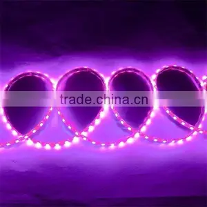 Waterproof SMD LED Strip Light Led Light Stripe thumbnail-1