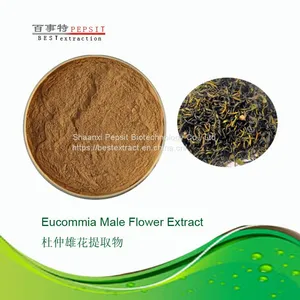 Eucommia Male Flower thumbnail-1