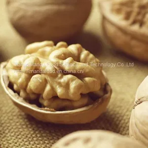 Chinese Bulk Walnuts thumbnail-1