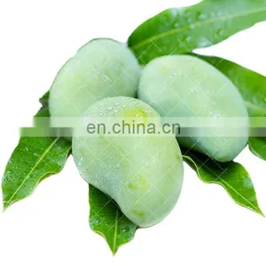 High Quality Fresh Mango Export Originating From Vietnam thumbnail-1