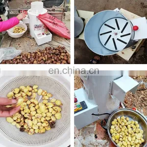 The Newest Hazelnut Ginkgo Chestnut Peeler Cracker Machine thumbnail-5