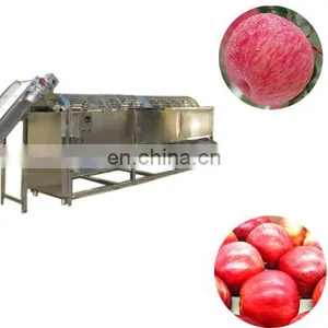 Vegetable and Fruit Avocado Garlic Tomato Pomelo Pomegranate Cherry Washing Grading Sorting Machine thumbnail-5