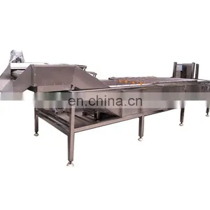 Stainless Steel Apple/pear/mango/fruit/vegetable Washing/cleaning/processing Machine/equipment thumbnail-3
