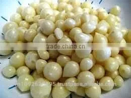 FRESH SINGLE CLOVE GARLIC thumbnail-1
