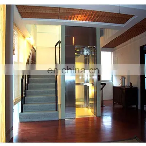 Price In China Villa Used Mini Elevator Lift, Price In China Home Used Small Elevator Lift thumbnail-5
