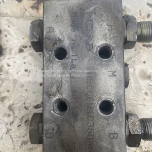 Hydraulic Parts Valve Block Balance Valve Lock Valve H5006N403S0300 Series Made in Ltaiy Youzheng NEM thumbnail-3