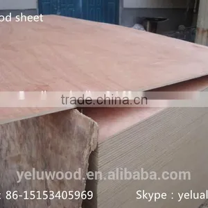 Best Price for Plywood Sheet / Best Quality Plywood thumbnail-1