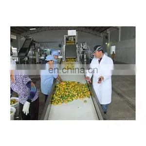 Complete Mango Jam Paste Puree Processing Plant thumbnail-1