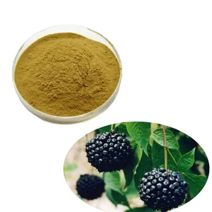 Siberian Ginseng Extract Eleutheroside thumbnail-2