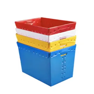 Versatile PP Corrugated Sorting Boxes – Custom Sizes for Any Use thumbnail-1