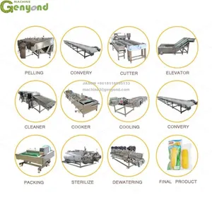 Industrial Automatic Customized Fresh Corn Processing Production Line thumbnail-4