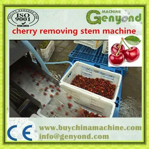 Strawberry Jam Strawberry Jam Production Line Multifunctional Fruit Processing Machine thumbnail-4