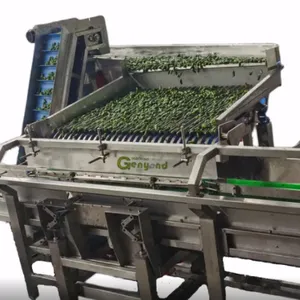 Professional Full Automatic Canned Pickles Vegetables Cucumber Production Line thumbnail-5