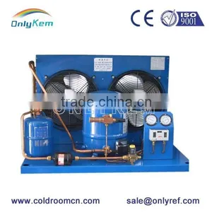 Air Cooled Condensing Units for Cold Storage thumbnail-6