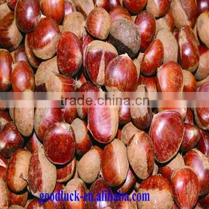 Chinese Good Taste Chestnut(DANDONG) thumbnail-4