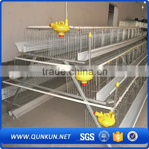 Commercial Chicken House Sale for Layers thumbnail-3