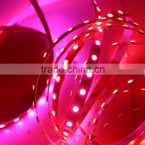 Digital Addressable Rgb Led Strip Non-waterproof Ws2813 Ws2812b Led Strip thumbnail-3