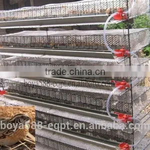 Quail Layer Cage Design for Poultry Farming thumbnail-1