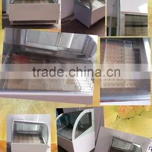 Ice Lolly Showcase Freezer/popsicle Freezer Showcase thumbnail-3
