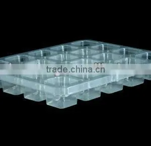 Special Design Thick Vacuum Formed Clear Tray for Food thumbnail-1