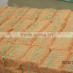 Coconut Fiber High Quality ( QQ: 2598494113) thumbnail-5