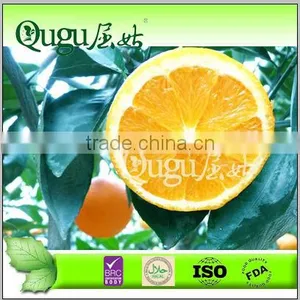 2015 Big Size Sweet Navel Orange thumbnail-1