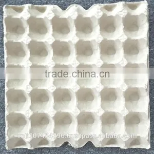 EGG TRAY thumbnail-1