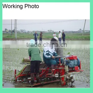 Philippine Diesel 6 Rows Rice Transplanter Price thumbnail-3