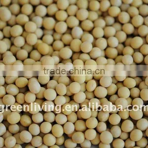 Dried Soybeans thumbnail-1