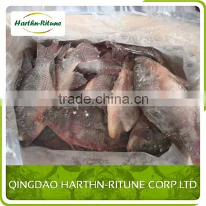Skinless Iqf Tilapia Fillet Fish For Sale thumbnail-2