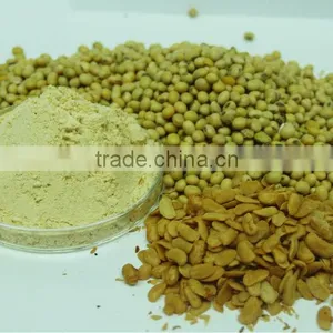 Soy Bean Powder thumbnail-1