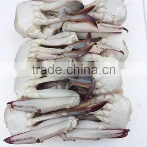 New Frozen Blue Swimming Crab thumbnail-2