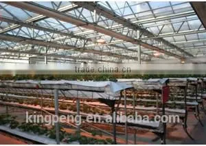 Hydroponic Fruit and Vegetable Glass Greenhouse thumbnail-3