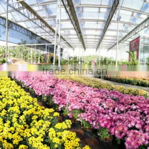 Glass Green House for Eco Restaurant thumbnail-3
