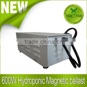 Hydroponics 600w HPS MH Grow Light Ballast for Indoor Plant Growth thumbnail-1