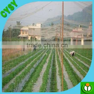 pe Anti Bird Net,green Anti Bird Net,bird Netting (factory) thumbnail-4