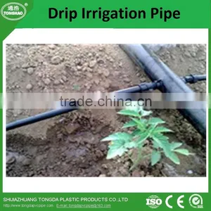 Wholesale Price PE Material Drip Irrigation Pipe for Agriculture thumbnail-4