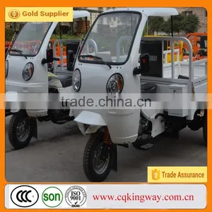 China New 250cc Three Wheel Mini Pedal Motorbikes for Sales thumbnail-2