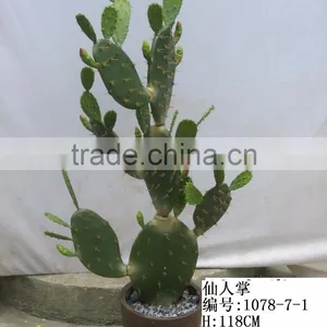 Fake Artificial Plastic Cactus Ball thumbnail-4