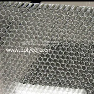 Transparent Waterproof Light Weight Stiffness Strength PC Honeycomb Core thumbnail-1