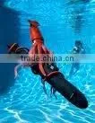 Squid thumbnail-1