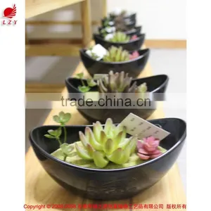 Artificial Mini Plant Potted Succulent Combination Mini Succulent thumbnail-2