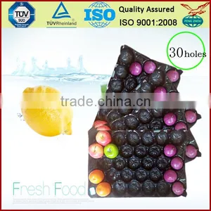 China Supply Factory Price PP ProtectiveTray for Apple Packing thumbnail-4